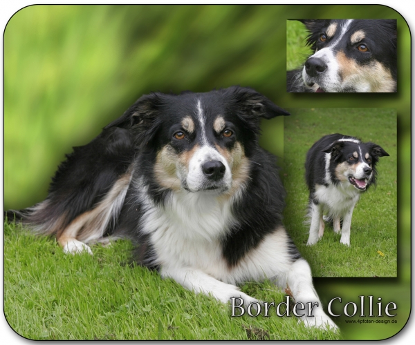 Mousepad Border Collie